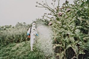 Pesticide Use Regulations